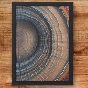 Tree Ring Cross-Section Art Print, Natural Wood Grain Decor, Earthy Minimalist Wall Art