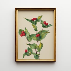 Fairybell Flower Print: Vintage Botanical Art, Woodland Decor (Digital Download)
