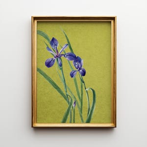 Vintage Iris Botanical Print: Cottagecore Floral Wall Art (Digital Download