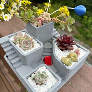 May include: A selection of succulents in grey concrete planters filled with white pebbles. The planters are arranged on a grey tray with a staircase design. The succulents display various colours, including green, red, and pink. A small red object is placed on the tray.