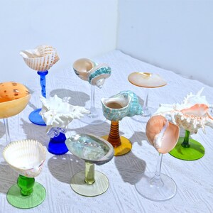 May include: A collection of decorative seashell displays. Various seashells are mounted on clear glass stems with colorful bases in shades of blue, green, and yellow. The shells vary in size, shape, and color.