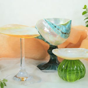Seashell Chalice Cup, Real Shell Goblet Ring Dish, Beach Altar Decor