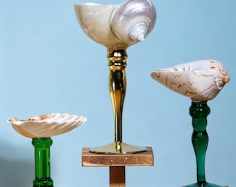 Copa de vino con forma de concha, copas de martini con forma de concha, regalo para damas de honor de boda, regalo de cumpleaños para despedida de soltera, regalo de aniversario de boda 2026