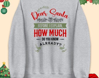 Dear Santa How Much Do You Know Jumper, Funny Santa Hoodie, Ugly Xmas Sweatshirt, Funny Christmas T Shirt, Holiday Humor Top