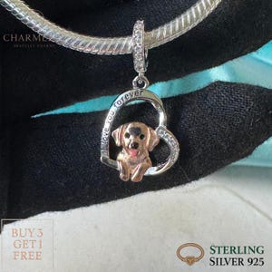 Labrador Bracelet Charms | Fits Pandora Bracelets | Sterling Silver 925 Charms | Gift Charms For  Dog Lovers | Buy 3 Charms Get 60% OFF