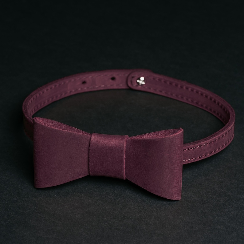 May include: A burgundy leather bow tie collar with a matching bow. The collar has a button closure and is designed to be worn around the neck. The bow tie is centered on the collar and is made of the same leather material.