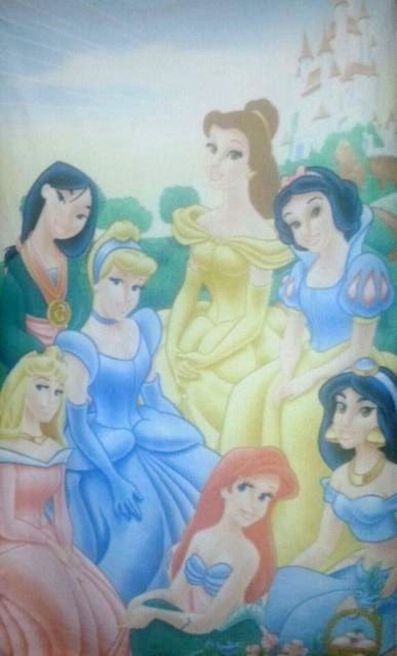 Disney Princess Belle Sleeping Beauty Cinderella Mulan 