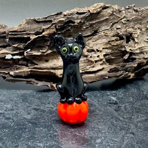 Pumpkin - Halloween Cat