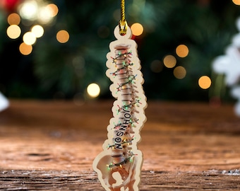 Anatomical Spine Christmas Ornament – Vertebrae & Pelvis Tree Decor, Chiropractor Physical Therapy Gift JCRD07