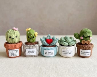 Multiple Handmade Crochet Positive Succulent, Emotional Support Gift, Cute Potted Cactus Desk Decor, Encouragement Gift Y-14052607C