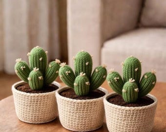 Crochet Cactus Pot, Handmade Amigurumi Succulent in Pot, Cute Plush Cactus Plant, Gift for Plant Lover, Desk Decor, Boho Home R-14032601