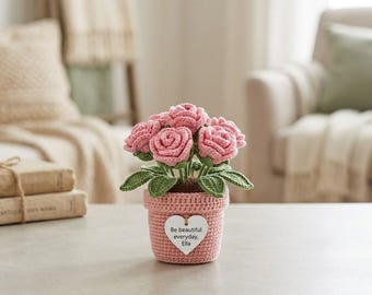 Crochet Flower Pot Gift for Her Handmade Desk Decor Mother's Day Gift Birthday Gift for Women Y-14052609C