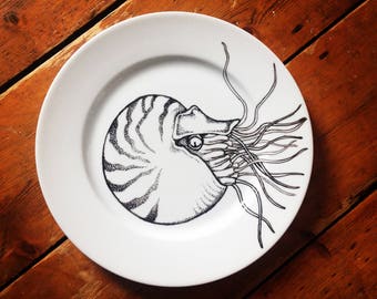 Hand painted nautilus plate