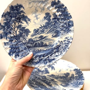 Piatto vintage Ridgway Meadowsweet (set da 2), blu e bianco, Inghilterra