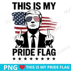Pride Flag PNG: Patriotic 4th of July Design (Digital Download)
