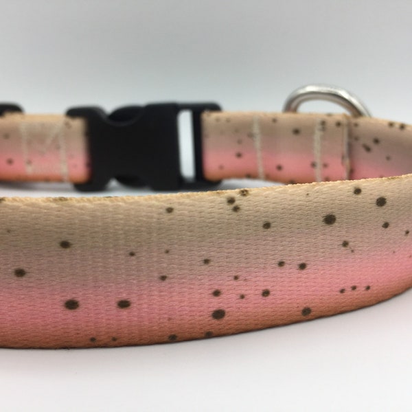 RAINBOW TROUT COLLAR dog collar in 5/8” or 1” width,  tan dog collar for male, pink dog collar for girl, fisherman gift, trout dog collar