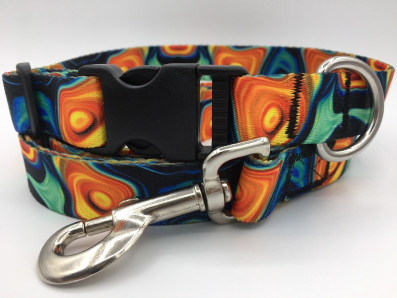 bright orange dog collar