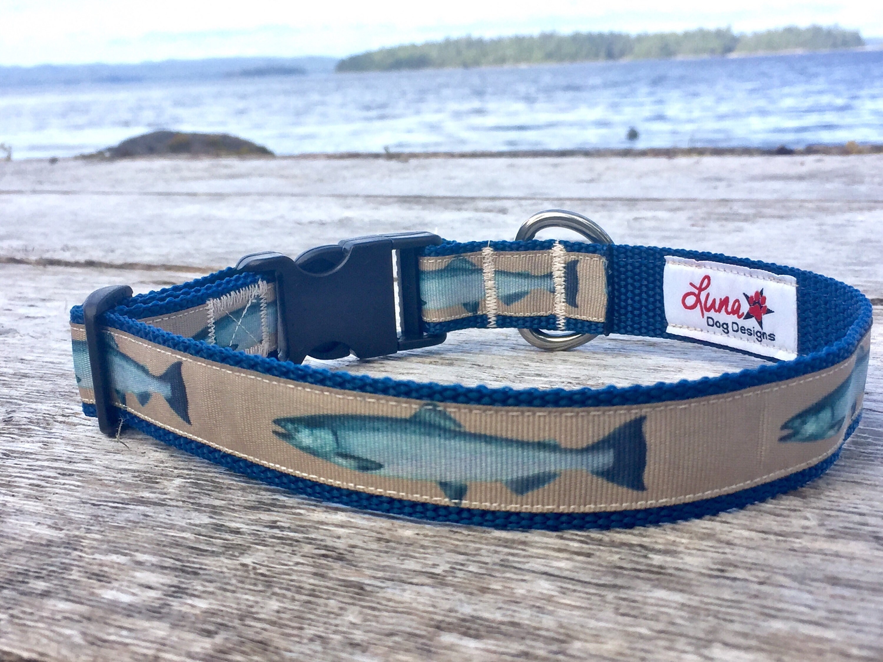 Salmon fish collar fish collar salmon collar dog collar and Etsy