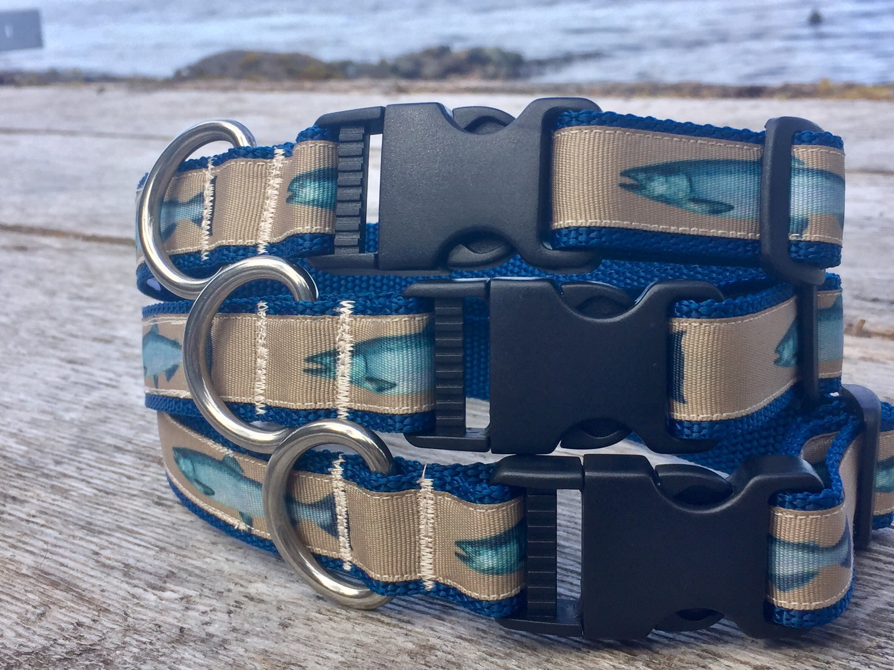 Salmon fish collar fish collar salmon collar dog collar and Etsy