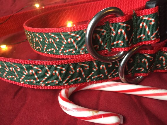 candy cane dog collar
