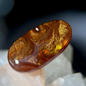 Op de afbeelding: Een gepolijste, ovaalvormige edelsteen met een warm kleurenpalet. De steen heeft een mix van amber, goud en bruin tinten, met ingewikkelde interne patronen en een glanzend oppervlak. De edelsteen is geplaatst tegen een neutrale achtergrond.