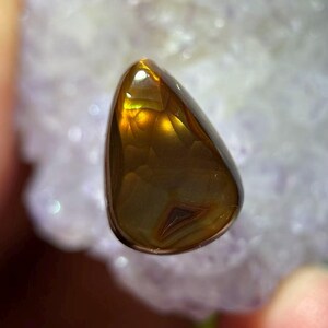 Op de afbeelding: Een gepolijste, druppelvormige edelsteen met een warme, amberbruine tint. De steen heeft een glanzend oppervlak met interne patronen en een gouden glans. De edelsteen is geplaatst tegen een zachte, vage achtergrond.