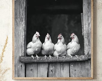 Op de afbeelding: Zwart-wit ingelijste print met vier witte kippen met rode kammen, zittend op een houten richel. De kippen zijn omlijst door een rustieke, verweerde houten structuur, wat een boerderijstijl creëert. De donkere achtergrond benadrukt de kippen.