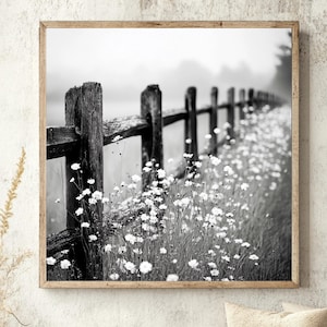 Puede incluir: Una impresión de arte mural cuadrada en blanco y negro que muestra una valla de madera rústica que se extiende hacia un fondo brumoso y borroso. Pequeñas flores silvestres blancas crecen en grupos densos junto a los postes.