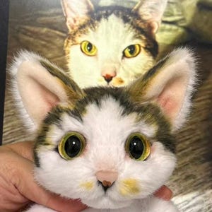May include: A plush kitten with large, expressive eyes and a white and brown coat. The kitten's ears are detailed with pink and brown accents. A similar image of a cat is in the background.