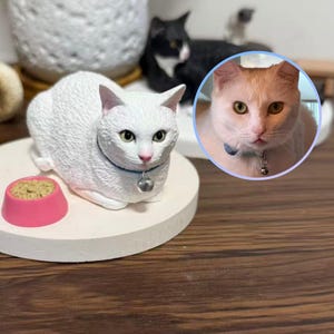 Spersonalizowana figurka kota ze zdjęć kotów na prezent dla miłośnika kotów po stracie kota - spersonalizowana rzeźba kota na pamiątkę - spersonalizowana figurka zwierzaka dla niej