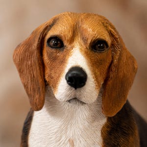 May include: A detailed figurine of a Beagle dog. The dog has brown and white fur, with long, floppy ears and a black nose. The figurine is realistically detailed, with a gentle expression.