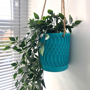 May include: A teal hanging planter with a woven design, filled with trailing green foliage. The planter is suspended by a natural rope, creating a modern and stylish look. Perfect for adding a touch of greenery to any space.