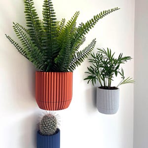 Modern Wall-Mounted Planter with Hidden Drip Tray - Custom Colour Plant Pot