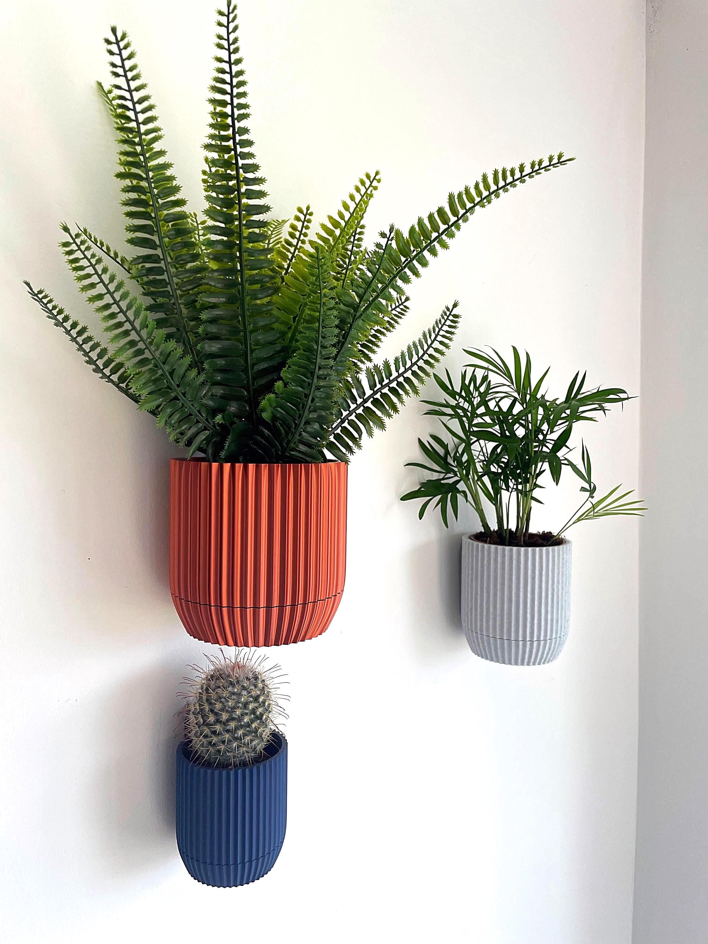 Modern Wall-Mounted Planter with Hidden Drip Tray - Custom Colour Plant Pot