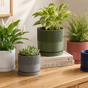 Könnte beinhalten: Eine Sammlung dekorativer Keramik-Pflanztöpfe in verschiedenen Farben, darunter Weiß, Grün, Rosa, Grau und Marineblau. Jeder Topf hat ein geripptes Design und enthält verschiedene Pflanzen, wodurch eine lebendige Präsentation entsteht. Die Töpfe stehen auf einer Holzoberfläche. Maße in cm.