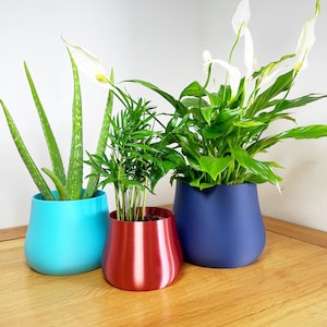 3D Printed Colorful Planter: Bulbous Indoor Plant Pot, Modern Decor