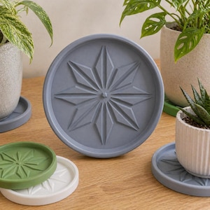 May include: A collection of gray, green, and white plant saucers with a starburst design. The saucers are made of a durable material and are designed to catch excess water from potted plants. The image shows the saucers in use with various potted plants.