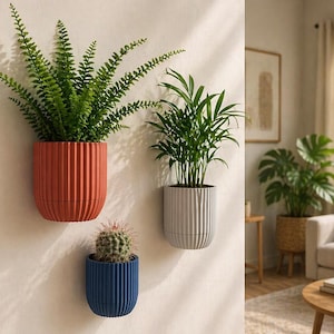 May include: Three wall-mounted planters with plants. The top planter is a reddish-orange color and holds a fern. The middle planter is light gray and holds a small palm. The bottom planter is blue and holds a cactus.