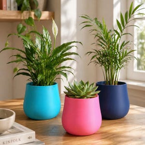 Puede incluir: Tres plantas en macetas en macetas coloridas en forma de lágrima. Una maceta azul vibrante contiene una exuberante planta verde, una maceta rosa contiene una suculenta y una maceta azul marino muestra una planta similar a una palmera. Las macetas están sobre una mesa de madera.