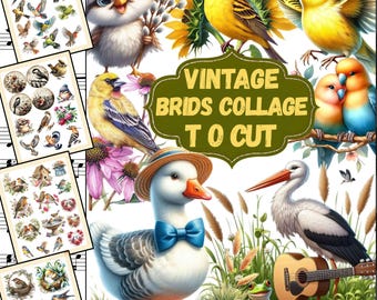 Vintage Bird Ephemera – Fussy Cut Printables for Junk Journals, Tags, Collage & Printable Journal Pages