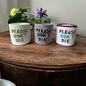 Könnte beinhalten: Drei kleine, zylindrische Keramiktöpfe mit dem Text "PLEASE DON'T DIE" in fetten Buchstaben. Die Töpfe sind weiß, grau und hellgrün, mit dem Text in verschiedenen Farben. Die Töpfe sind auf einer Holzoberfläche angeordnet, mit Blumen im Hintergrund.