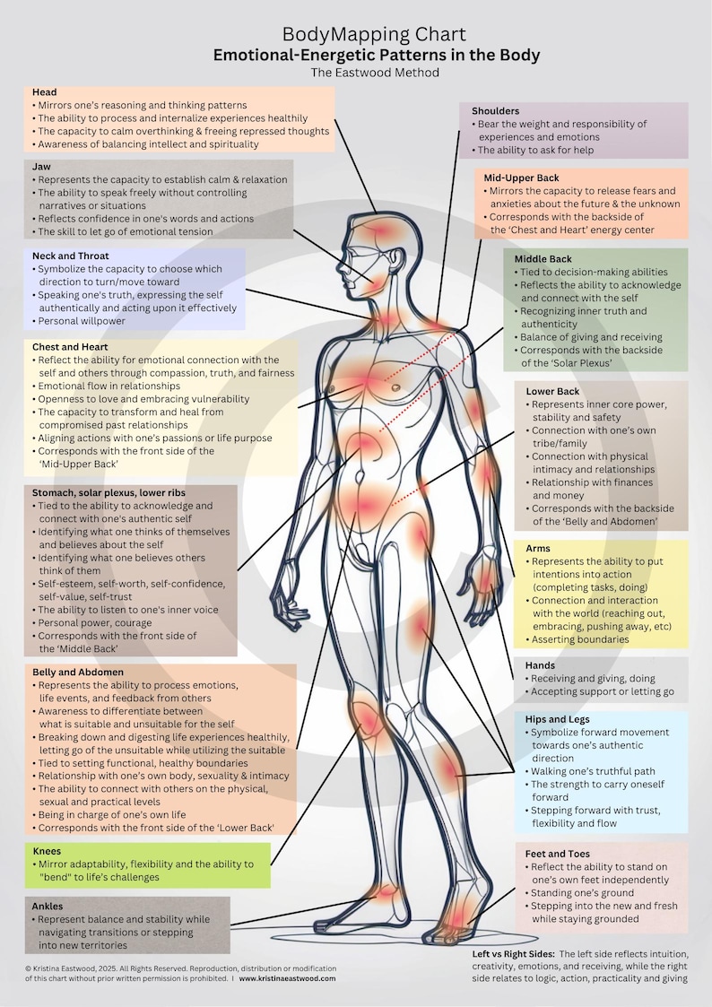 Stored Emotions in the Body Chart, Educational Resource, Somatic ...