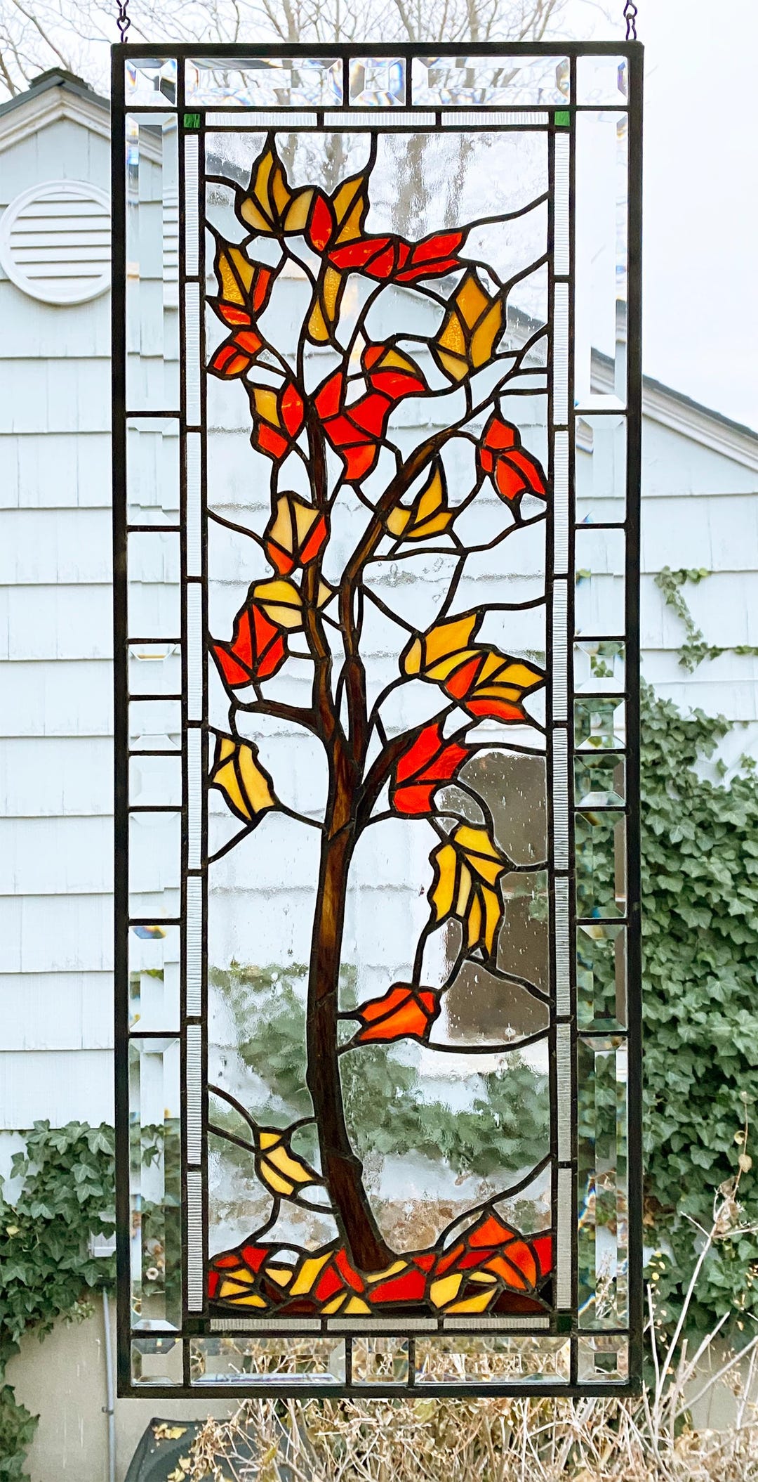 Maple Tree in Autumn--13