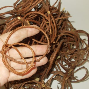 Dried Shrub Runner Shaped Wood Curls Country Home Decor Craft Display