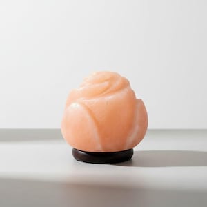 Könnte beinhalten: Eine rosenförmige Himalaya-Salzlampe in einem sanften Pfirsichton. Die Lampe steht auf einem dunkelbraunen Holzsockel. Die Rosenblätter sind so geschnitzt, dass sie realistisch aussehen. Die Lampe soll ein warmes, sanftes Licht erzeugen.