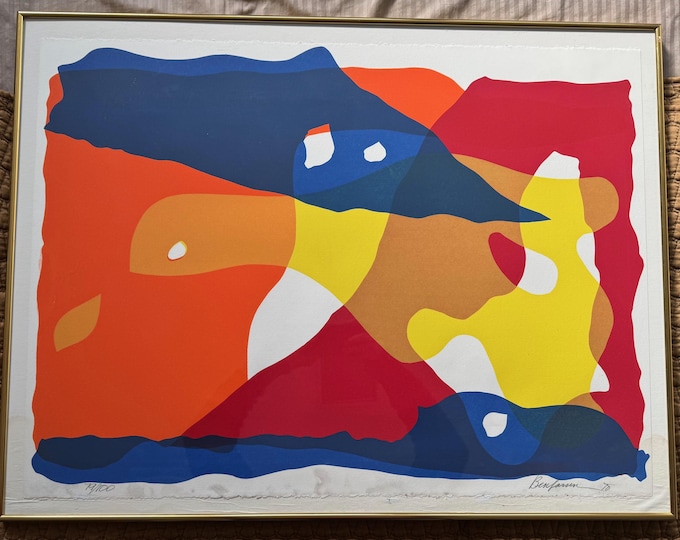 Vintage 70s Abstract Multi-color Serigraph Print Modern Art Wall Hanging Larsen