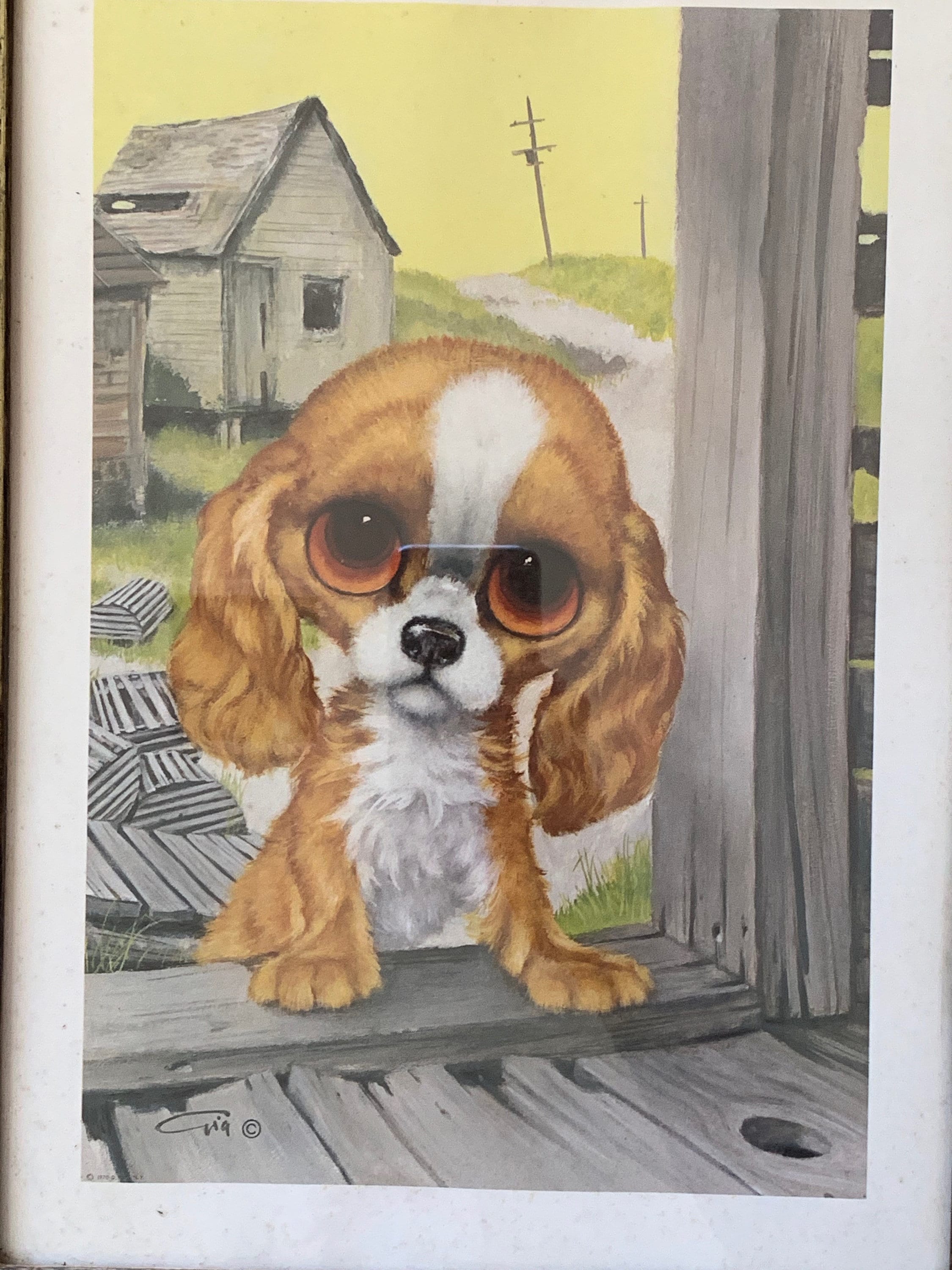 gallery photo