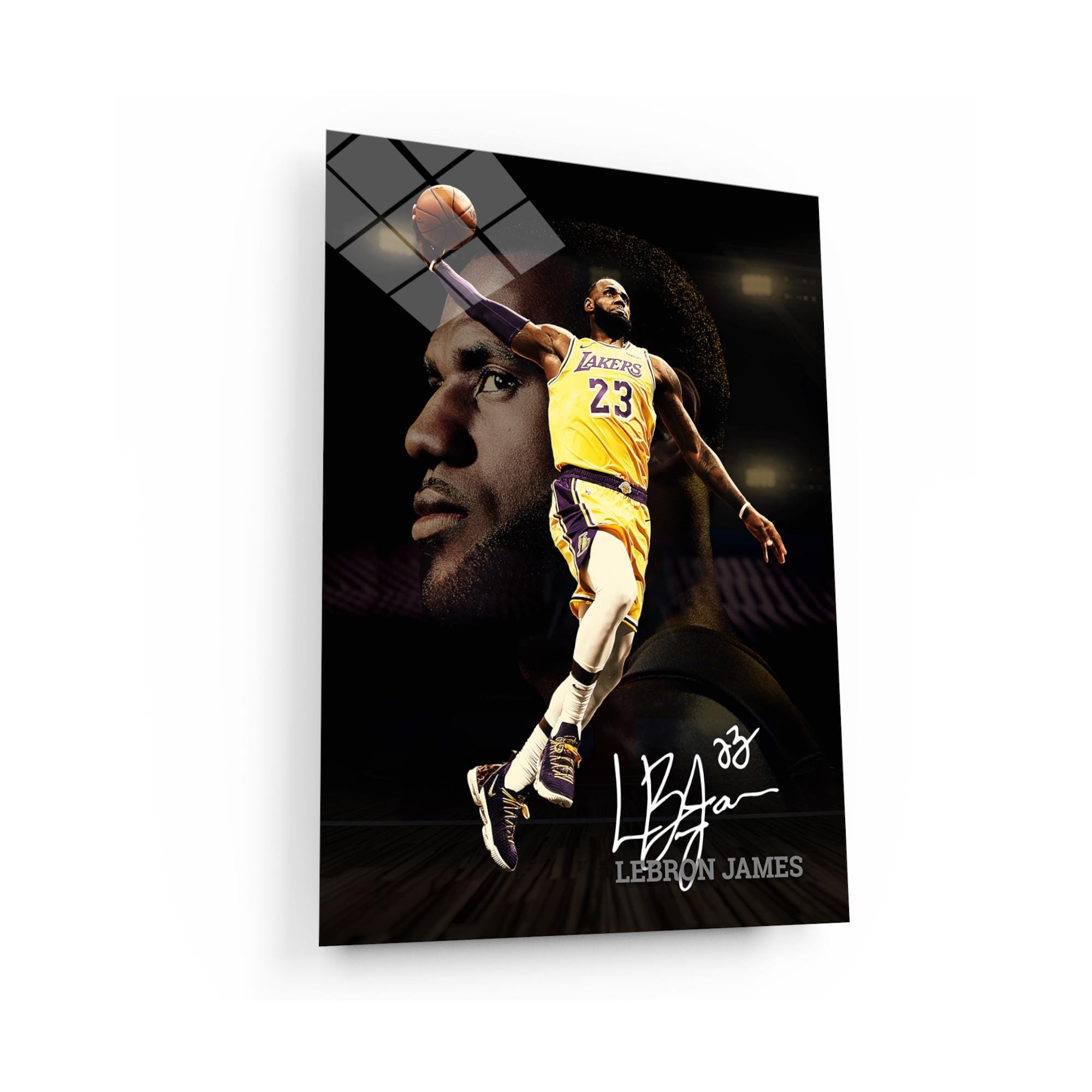 lebron james cotton fabric