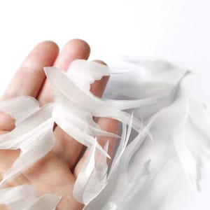 May include: A hand holding a pile of white, translucent, feather-like objects. The objects are delicate and have a soft, airy appearance.