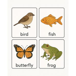 Montessori everyday items flash cards set of 28